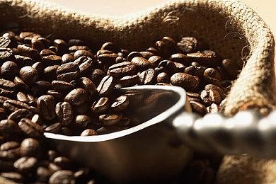 《鬼武者：剑之道》Steam商店页公开 支持中文配音