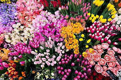 一战机甲RTS《钢铁收割》宣布“世界地图战役”更新